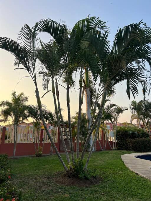 Apartamento Casa Con Alberca A 8 Min De Playa Ixtapa  Exterior foto